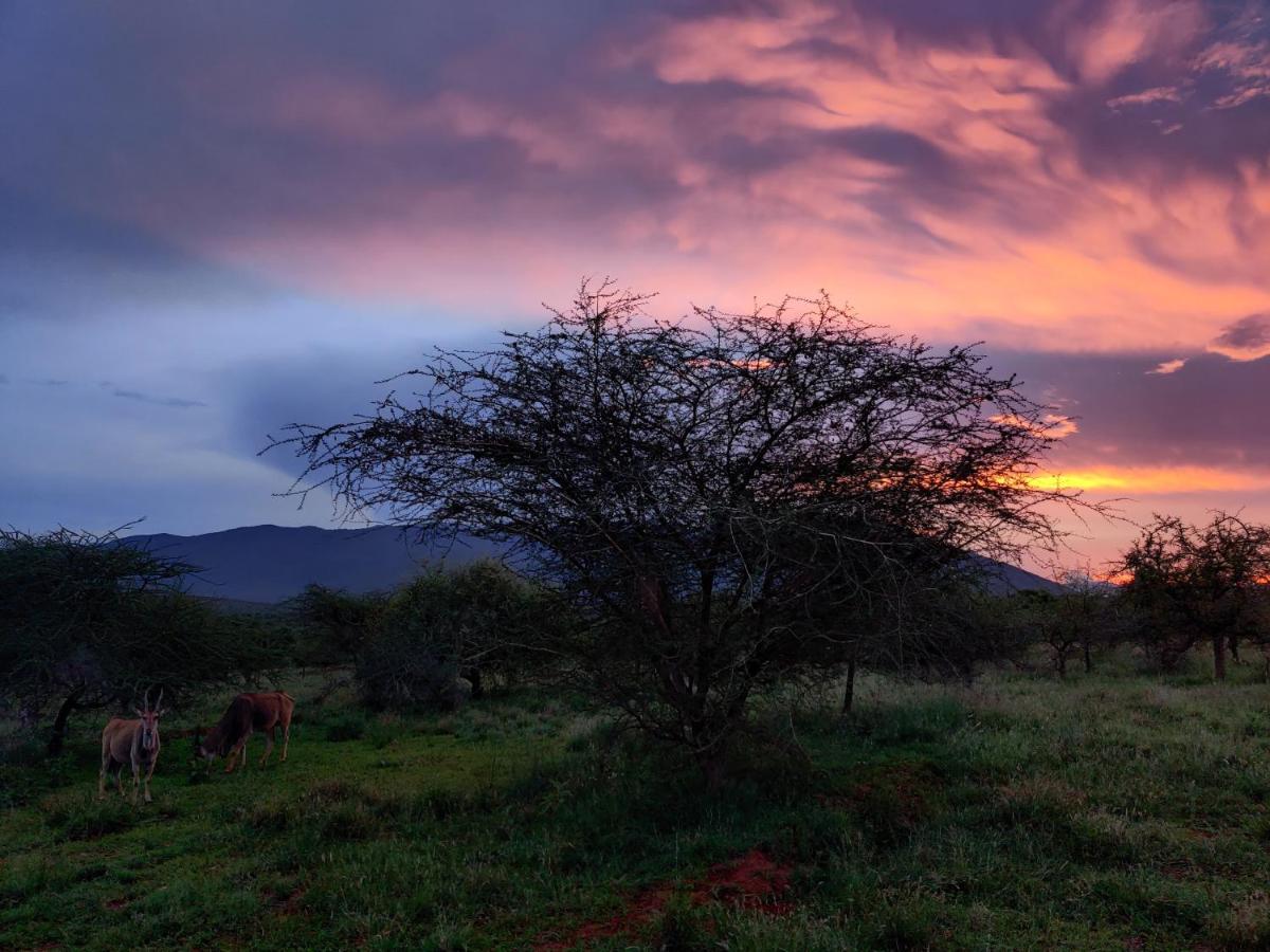 Oldonyo Orok Lodge Kajiado 外观 照片